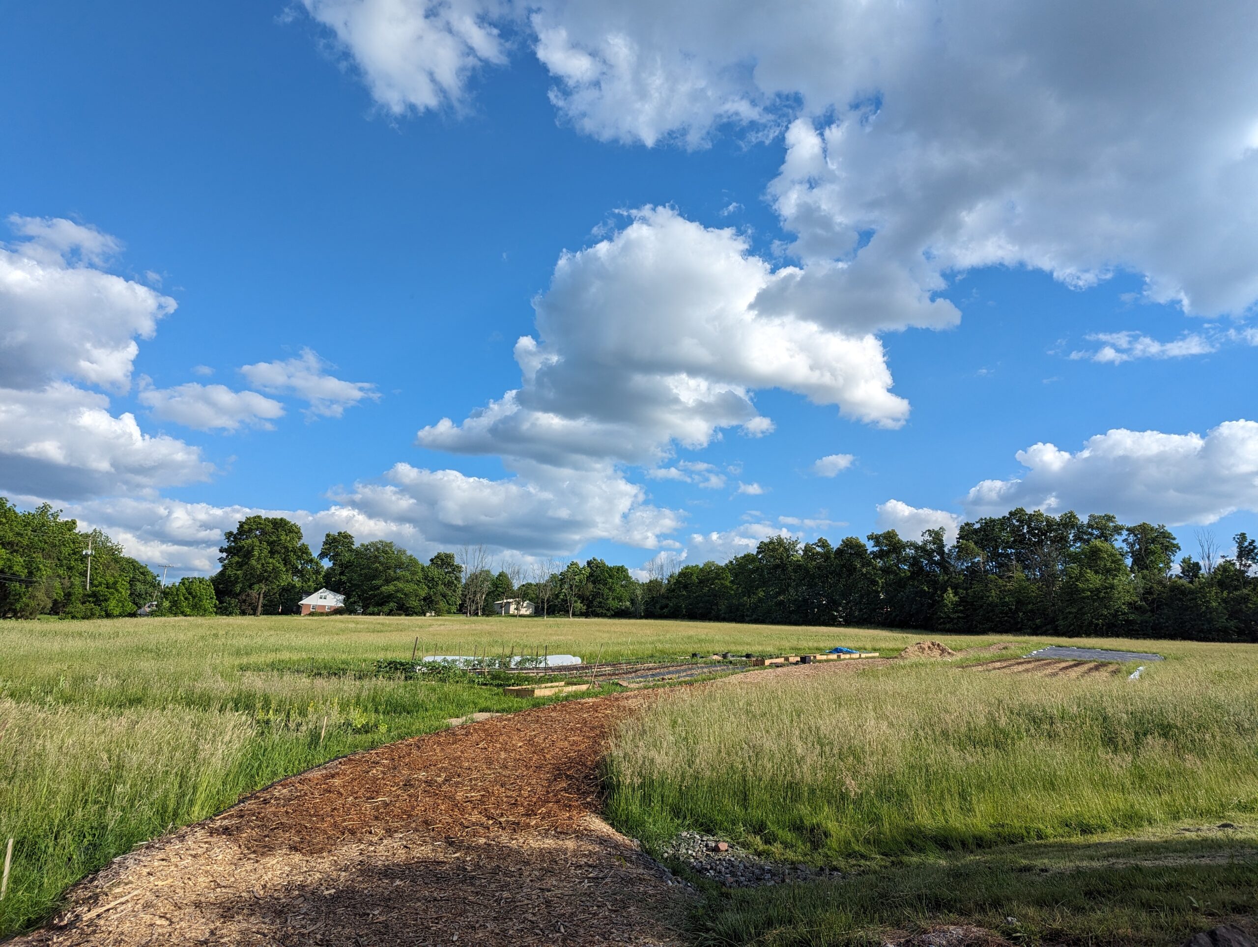 Farm Land Leasing – Looking for Growers