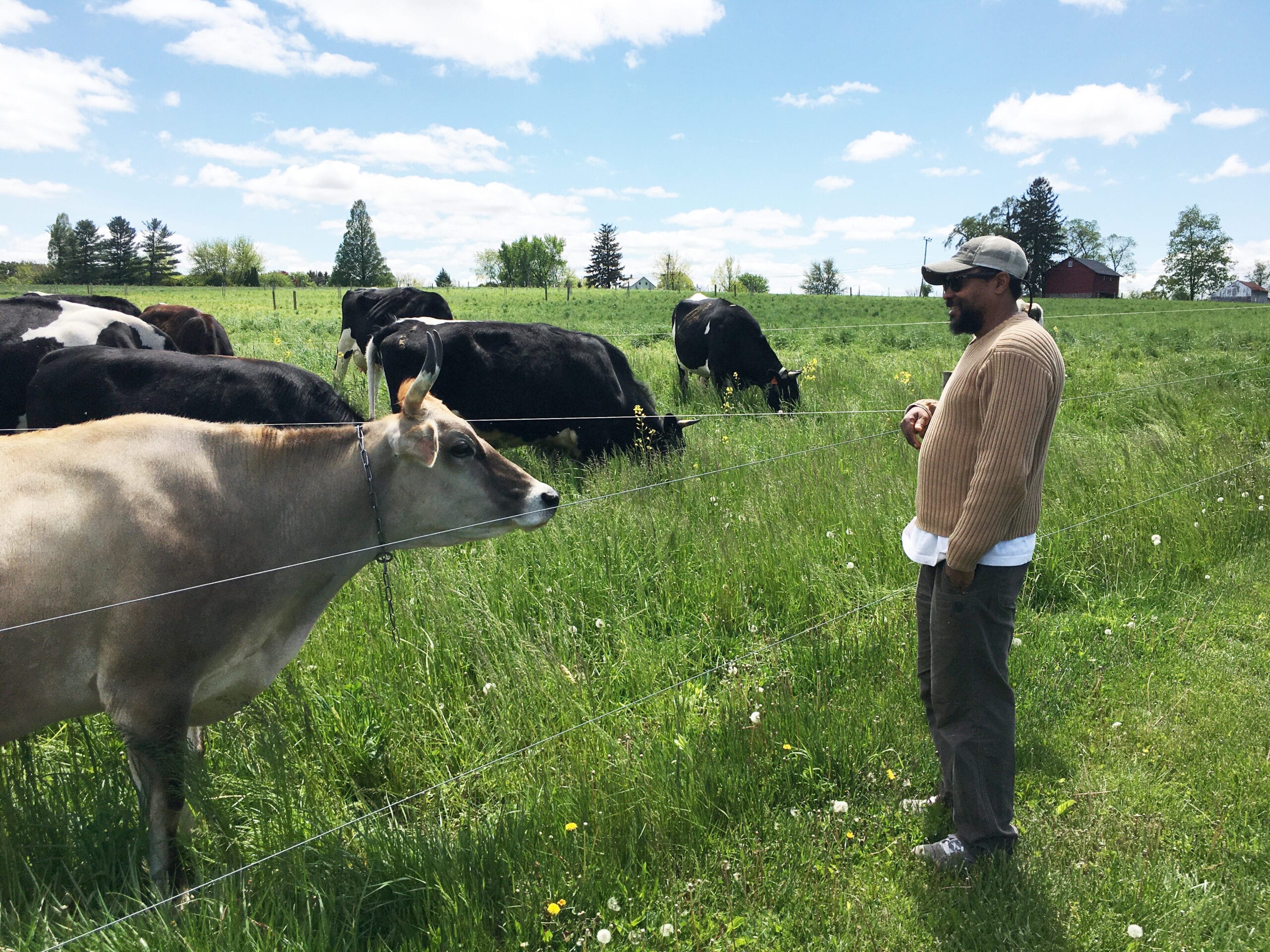 Dairy Grazing Apprenticeship