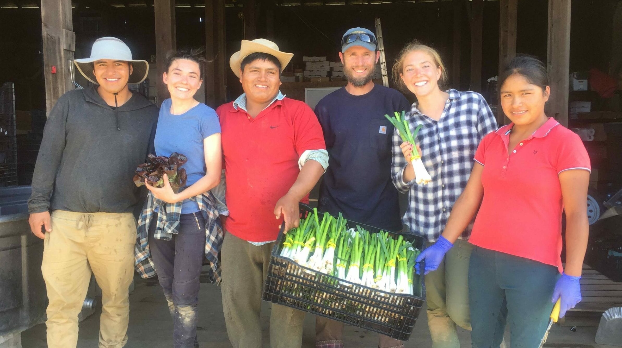 Diversified Vegetable Apprenticeship